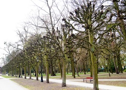 Ciechocinek, Budynek, Park, Drzewa, Ławka, Park