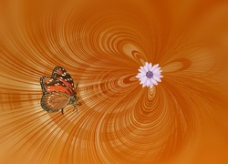 Motyl, Kwiat, Pomarańczowe, Tło, Grafika