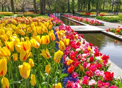 Wiosna, Tulipany, Park, Keukenhof, Lisse, Holandia