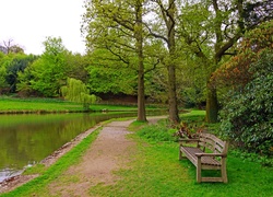 Park, Ścieżka, Ławka