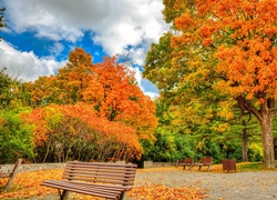 Jesień, Park, Ławki, Drzewa