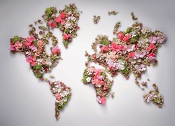 Kompozycja, Kolorowe, Kwiaty, Mapa Świata