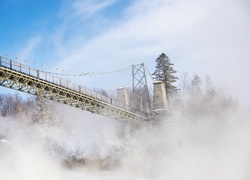 Most, Mgła, Drzewa