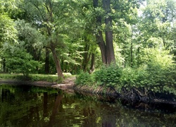 Jezioro, Sankt Petersburg