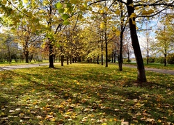 Park, Moskwa, Rosja, Jesień