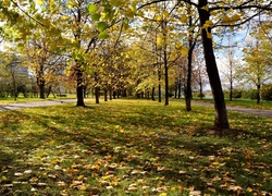 Park, Moskwa, Rosja, Jesień