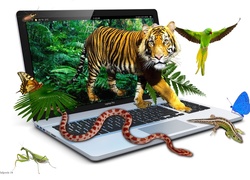 Grafika, 4D, Laptop, Tygrys, Motyle, Papuga, Wąż, Jaszczurka, Modliszka