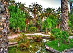 Park