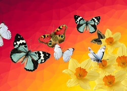 Grafika, Kwiaty, Żonkile, Motyle