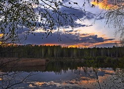 Rzeka, Las, Drzewa, Chmury