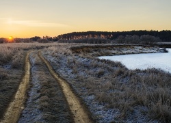 Wschód, Słońca, Jezioro, Droga, Zeschłe, Trawy