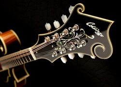 Gitara