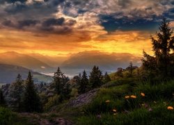 Góry, Chmury, Las, Łąka, Zachód, Słońca, Szwajcaria