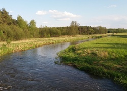 Rzeka, Pola