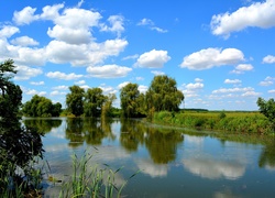 Niebo, Obłoki, Jezioro, Odbicie, Drzewa, Wierzby