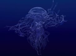 3D, Wektorowa,meduza