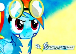 My Little Pony, Rainbow Dash, Wonderbolts Academy