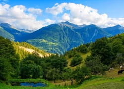 Góry, Lasy, Jeziorko, Szwajcaria