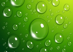 Zielone tło, Bąble wodne