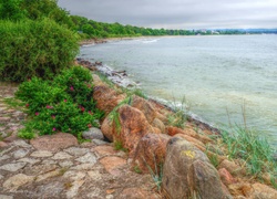 Morze, Bałtyk, Woda, Wybrzeże, Kamienie, Rośliny, HDR