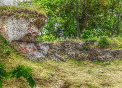 Stary, Mur, Cegły, Ruiny, Zieleń, HDR