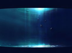 3D, Wektorowa,meduzy, woda