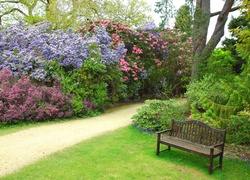 Park, Ławeczka