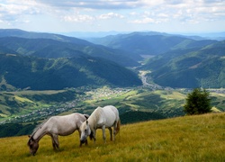 Łąka, Pasące się, Konie, Dolina, Wioska, Góry, Lasy