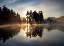 Jezioro, Drzewa, Mgła, Odbicie, Wschód słońca