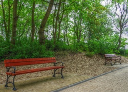 Park, Drzewa, Ławeczki, ścieżka, HDR