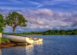 Szkocja, Jezioro Loch Ken, Drzewa, Łódki, Brzeg