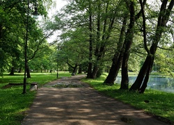 Polska, Gdańsk, Park Jelitkowski, Ścieżka, Droga, Drzewa, Trawnik, Jeziorko