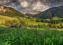 Dolomity, Pola, Łąki, St.Magdalena, Włochy