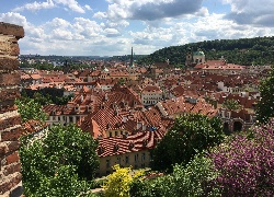 Czechy, Praga, Stare, Miasto