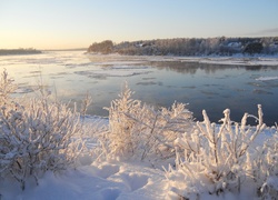 Zima, Rzeka, Krzaki