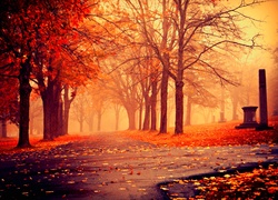 Jesień, Park, Alejki, Drzewa