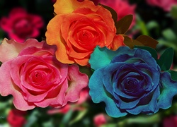 Kwiaty, Kolorowe, Róże