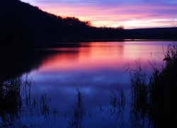Jezioro, Las