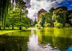 Park, Staw, Boston, USA