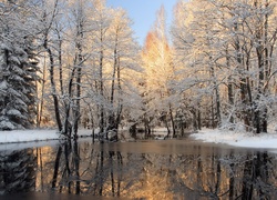 Zima, Krajobraz, Rzeka, Drzewa