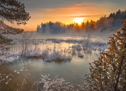 Zima, Jezioro, Las, Mgła, Świt