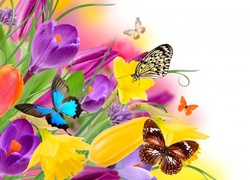 Grafika, Kolorowe, Kwiaty, Motyle