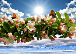 Wiosna, Kwiaty, Drzewo owocowe, Ptaki, Niebo, Słońce