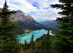 Kanada, Prowincja Alberta, Park Narodowy Banff, Jezioro Moraine, Drzewa, Góry, Świerki