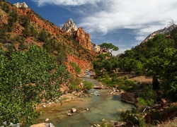 Stany Zjednoczone, Stan Utah, Park Narodowy Zion, Góra Watchman, Rzeka Virgin River, Drzewa, Góry