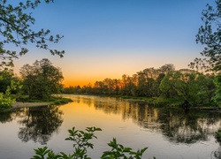 Rzeka, Wschód, Słońca, Drzewa, Roślinność