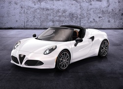 Alfa Romeo, 4C, Samochód