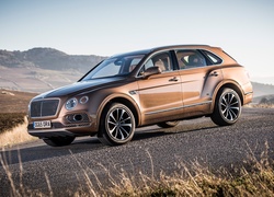 Samochód, Bentley, Bentayga