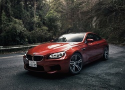 Samochód, BMW, M6