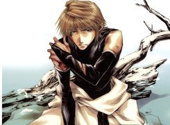 Saiyuki, chłopak, konar
